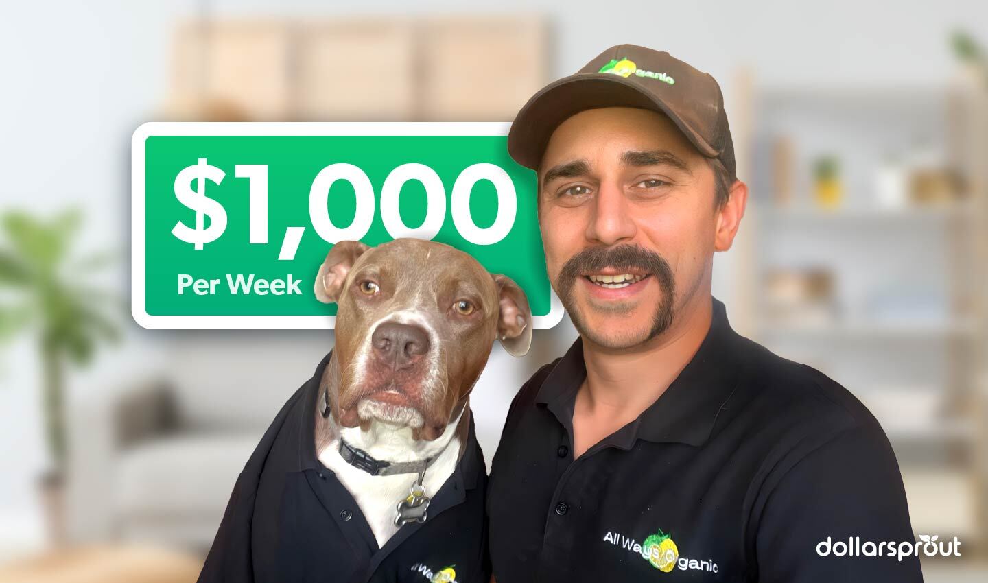 Stroud cleaning feature image 01.jpg