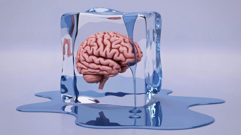 Fight Flight Or Freeze Why Overwhelmed Learners Shut Down.jpg