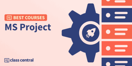 Bcg ms project banner.png