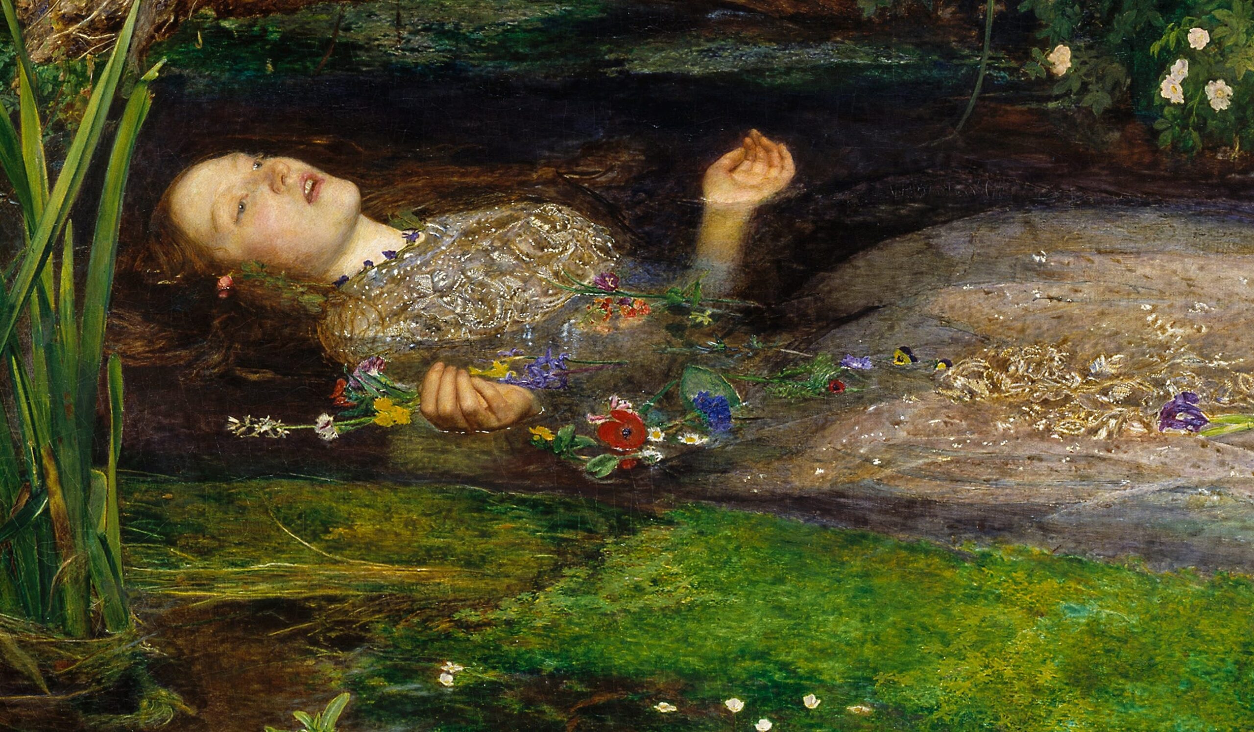 1MgIqV6oO Ii x8XlDw3OVg.jpeg