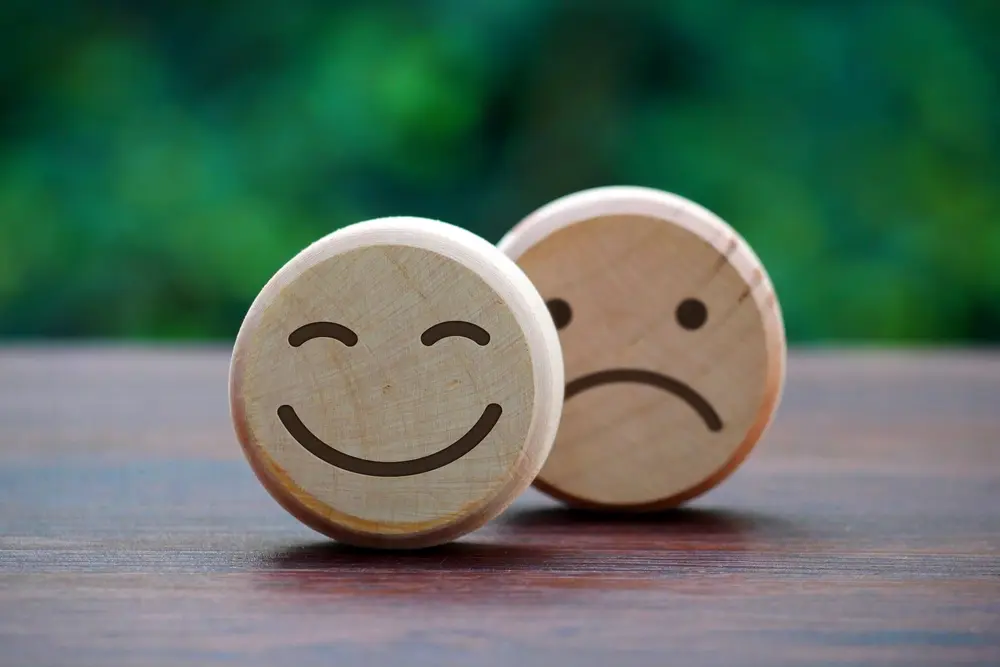 Emotional Intelligence Training A Guide For LD Leaders.webp.webp