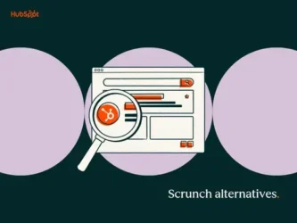 Scrunch alternatives 1 20260812 5006620.webp.webp